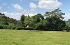 21 ac Land in Tigoni - 1