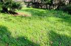 Land at Lavington - 3