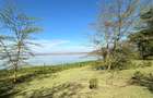 0.25 ac Residential Land at Lake Elementaita - 2