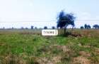 Land in Isinya - 4