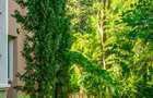 2 Bed House with En Suite at Jacaranda Brooks - 9