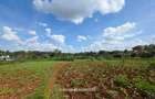 5.7 ac Land in Runda - 2