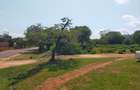 Land in Bofa - 4