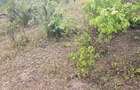 2.8 ha Commercial Land at Tiwi - 14