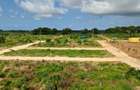 Land at Vipingo - 11