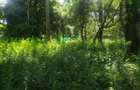 0.5 ac Land in Karen - 2