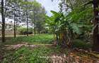 0.5 ac Land in Kitisuru - 5