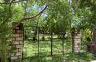 0.5 ac Land in Watamu - 3