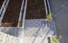4 Bed House with En Suite at Lemiso Road - 7