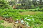 Residential Land at Kitisuru Road - 3