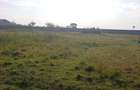 5 ac Land in Thika - 10
