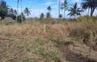 1,450 ac Land at Mabokoni - 8