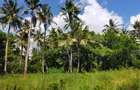 Land in Kilifi County - 1