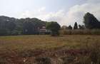 Land in Tigoni - 4