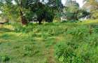 Residential Land at Karen - 18