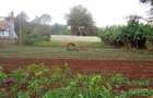 0.5 ac Land in Kitisuru - 5