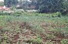 0.5 ac Land in Ngong - 10