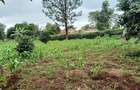 Land at Mimosa Road - 1