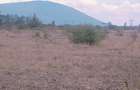 Residential Land in Juja Farm - 9