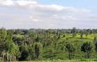 2 ac Land at Off Tigoni - Kabuku Rd - 8
