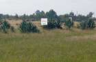 0.125 ac Land at Juja Farm - 16