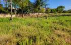 Land in Diani - 4