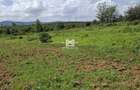 5 ac Land in Nanyuki - 6