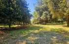 50 ft² Residential Land at Juja - 17