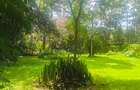 Residential Land at Ndege Road - 5
