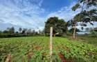 0.5 ac Residential Land in Nyeri - 1