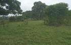 0.5 ac Residential Land in Redhill - 3