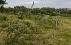 0.125 ac Land in Kikuyu Town - 14