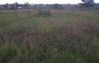 0.25 ac Land in Ongata Rongai - 6