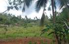 6 ac Land at Msambweni - 6