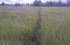 0.113 ac Residential Land in Ongata Rongai - 2