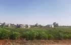 Land in Tatu City - 3
