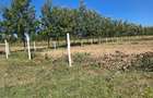 505 ac Residential Land at Burguret - 2