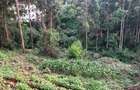 Land in Spring Valley - 3