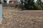 0.25 ac Land in Ruai - 1