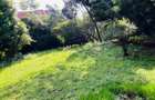 Land at Lavington - 6