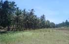 90 ac Land at Ridge - 11