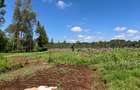 0.5 ac Land in Loresho - 1
