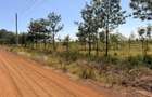 7.47 ac Residential Land at Ruiru-Githunguri Road - 19