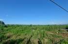 Land at Juja - Gatundu Road - 1