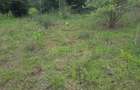 1.5 ac Land in Karen - 4