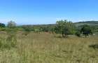 20 ac Land in Murang'a County - 2