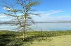 0.25 ac Residential Land at Lake Elementaita - 3