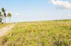 Land in Kilifi - 14