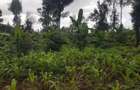 1.25 ac Land in Ngong - 4