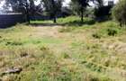 0.5 ac Land at Bulbul Ngong Nairobi Town - 3